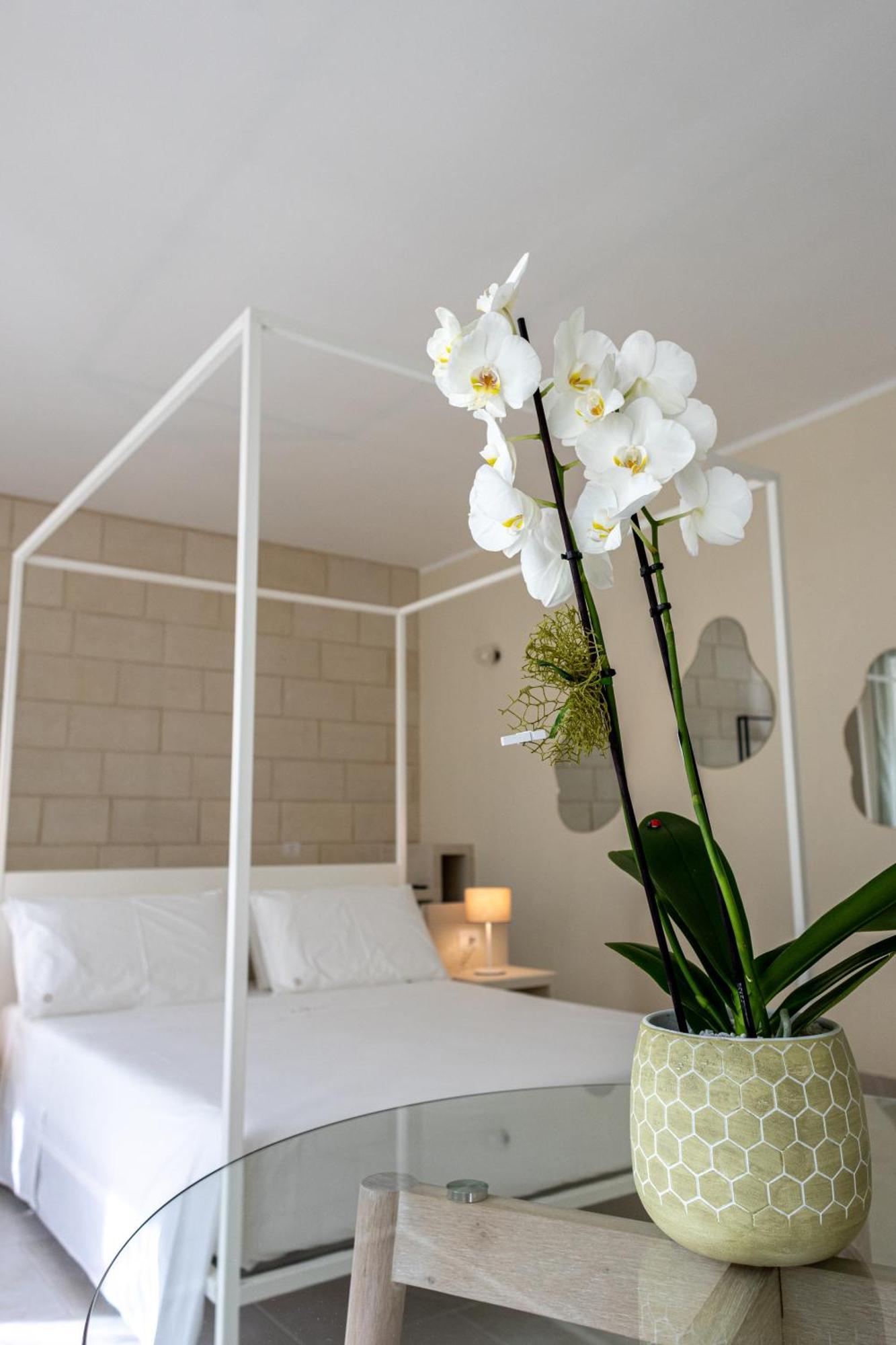 Oronti Accommodations 레체 외부 사진